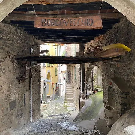 Il Giardino Sul Nesso