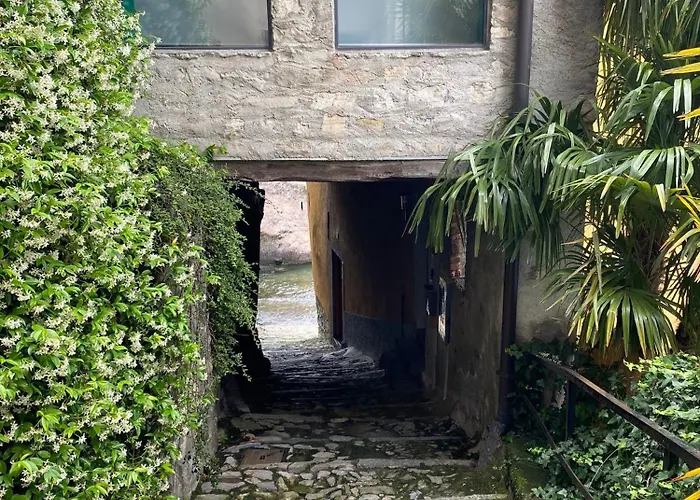 度假居 Il Giardino Sul