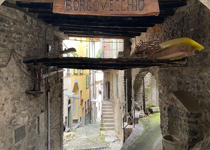 Il Giardino Sul Nesso